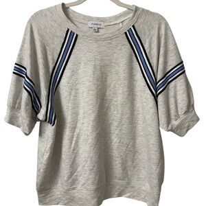 Evereve Varsity Stripe Raglan Short Sleeve Top Large Heather Gray Blue Sporty
